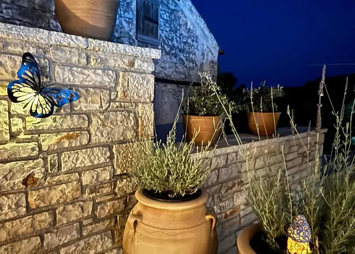 Iliana Villa *